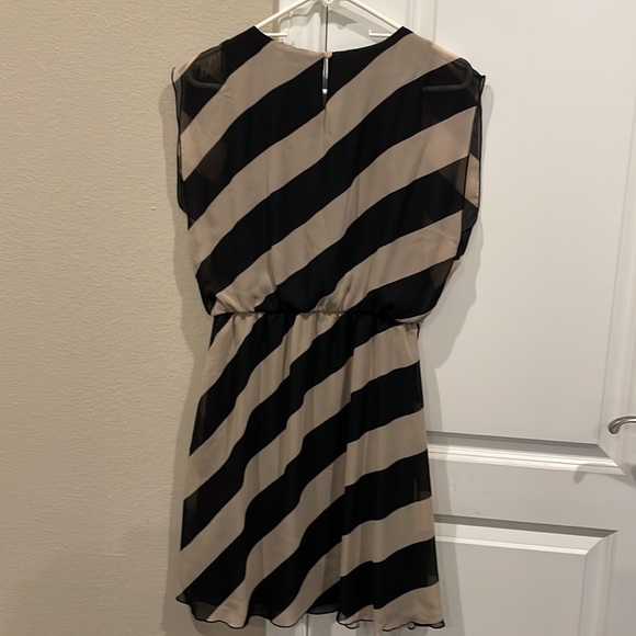 Tacera size medium - Picture 2 of 8